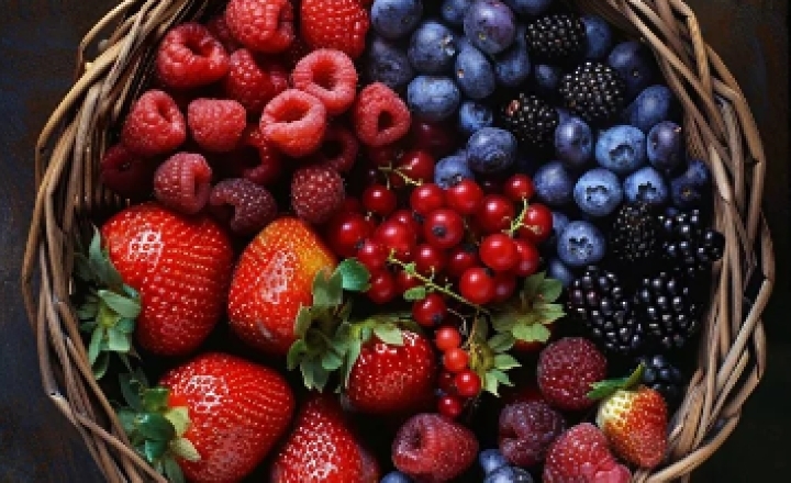 [Кристианна Виниченко] Мир ягодных культур (2020)_0.jpg